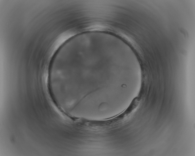 X0000113041418200910081202
