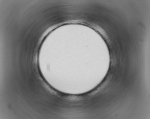 X0000113041420200910081202