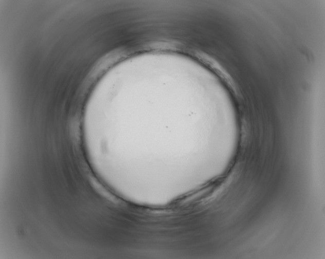 X0000113041421200910081202
