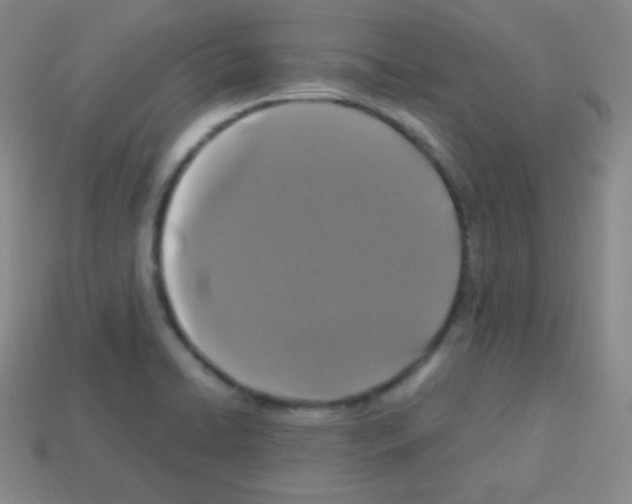 X0000113041422200910081202