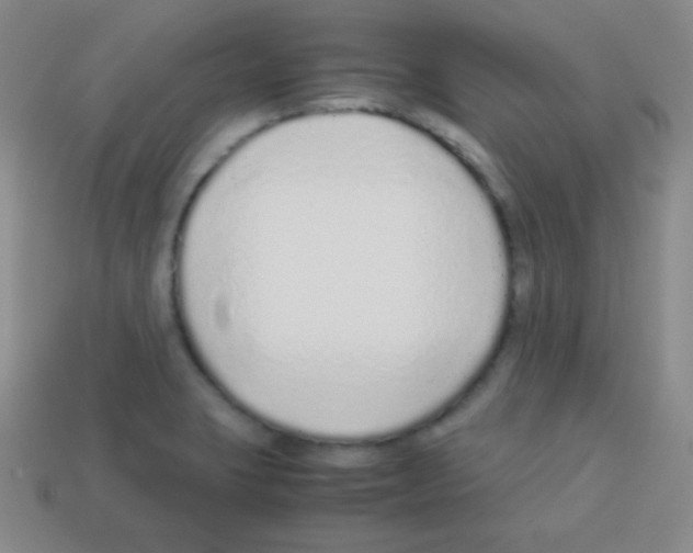 X0000113041423200910081202