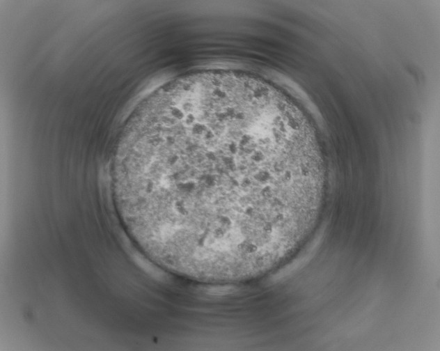 X0000113041425200910081202
