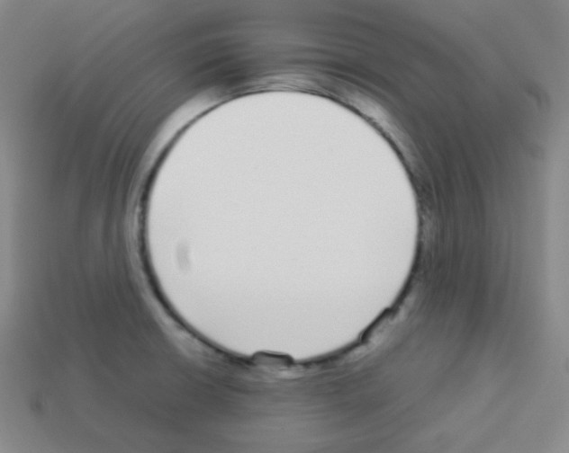 X0000113041426200910081202