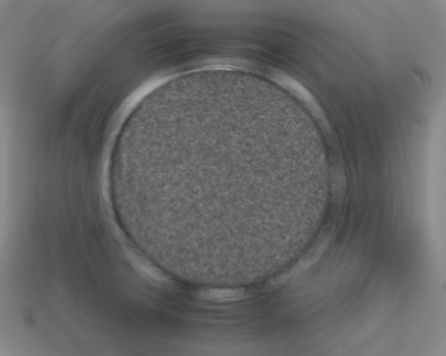 X0000113041427200910081202