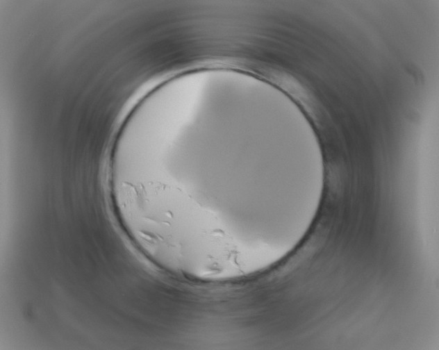 X0000113041428200910081202