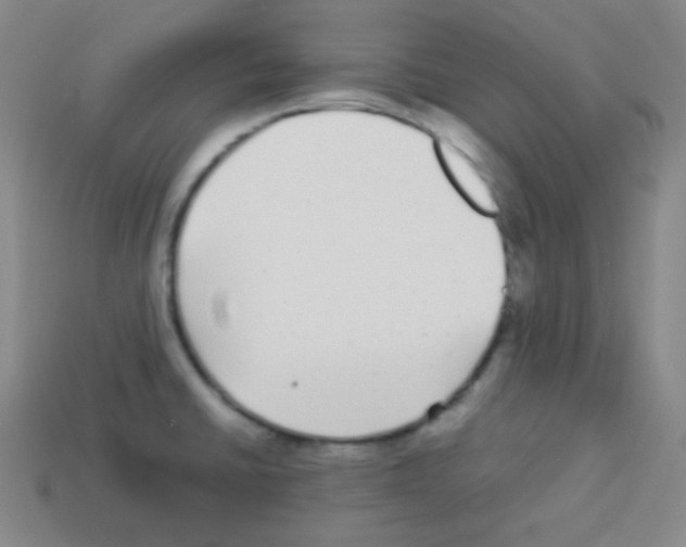 X0000113041430200910081202