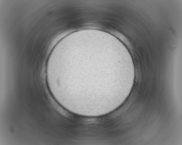 X0000113041431200910081202