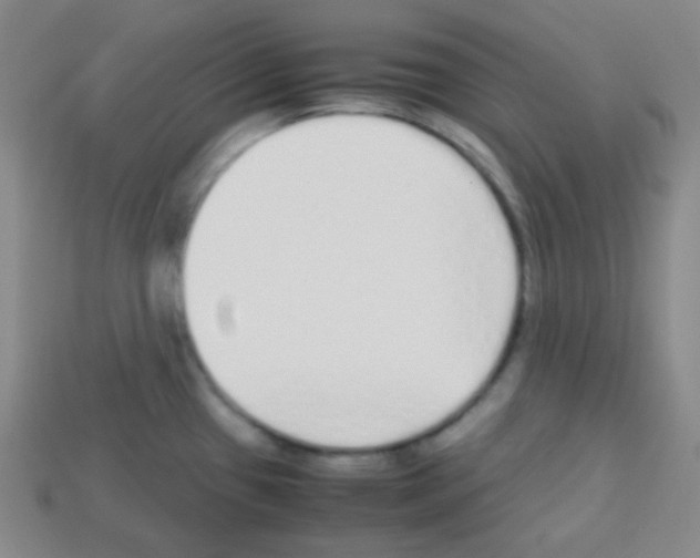 X0000113041433200910081202
