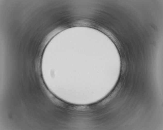 X0000113041434200910081202