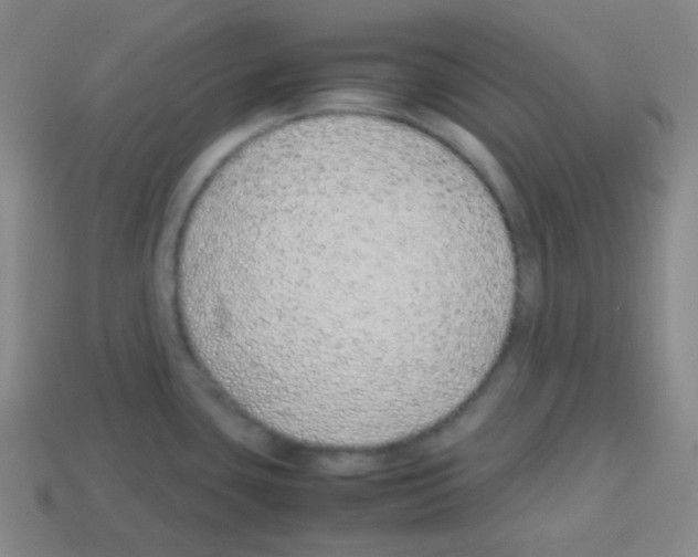 X0000113041435200910081202