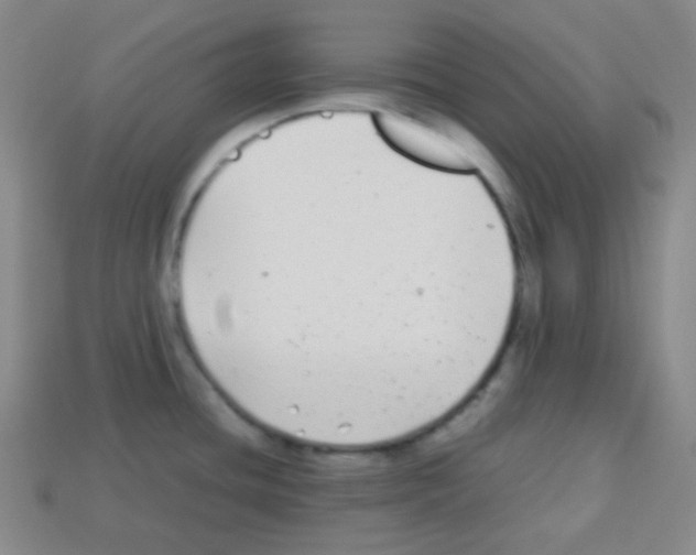 X0000113041436200910081202