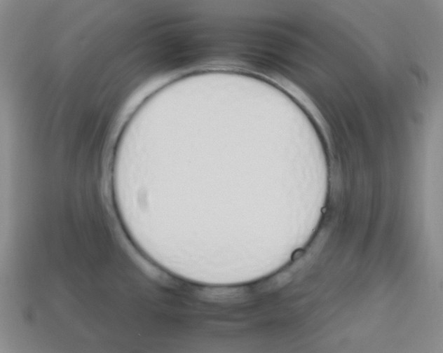 X0000113041437200910081202
