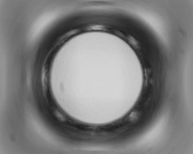 X0000113041438200910081202