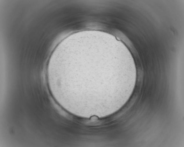 X0000113041439200910081202