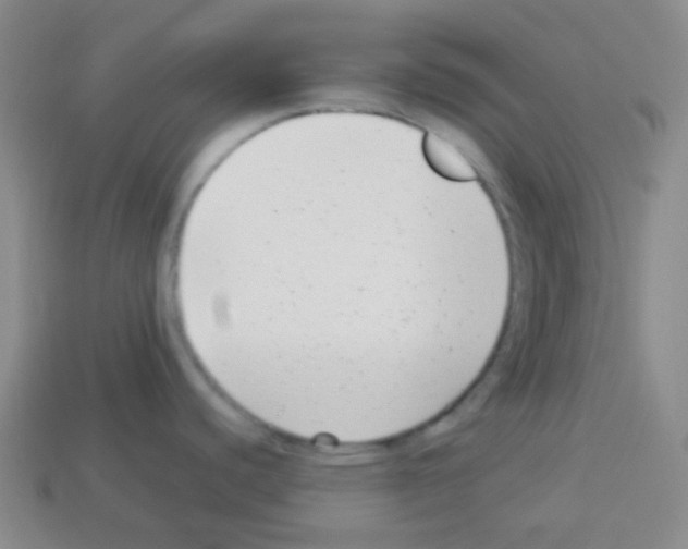 X0000113041440200910081202