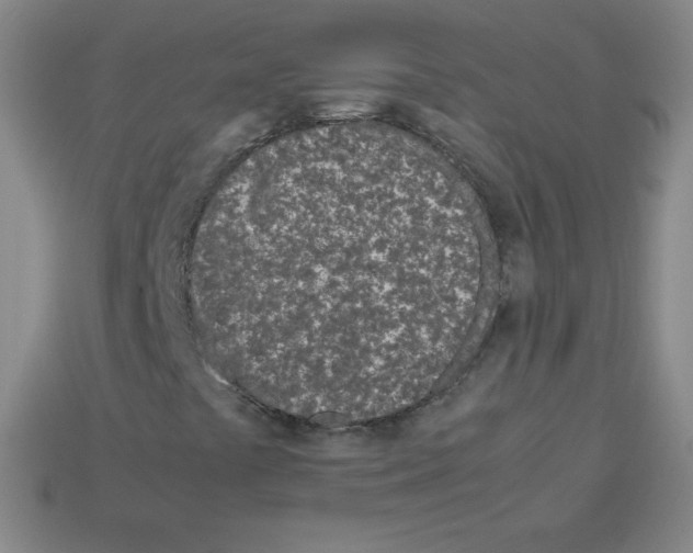 X0000113041441200910081201