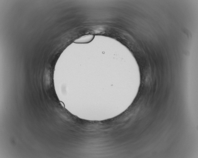 X0000113041442200910081201