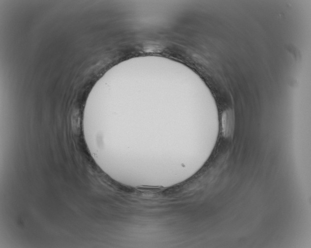 X0000113041443200910081201