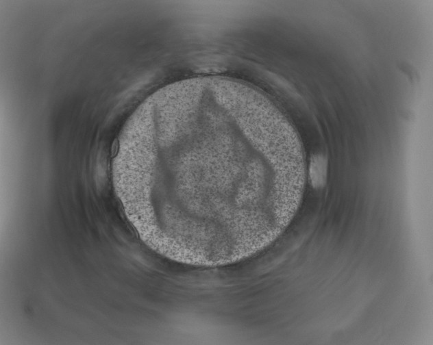 X0000113041444200910081201