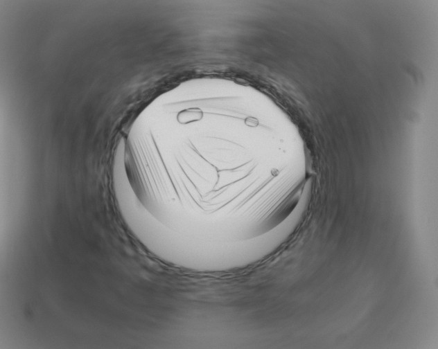 X0000113041445200910081201