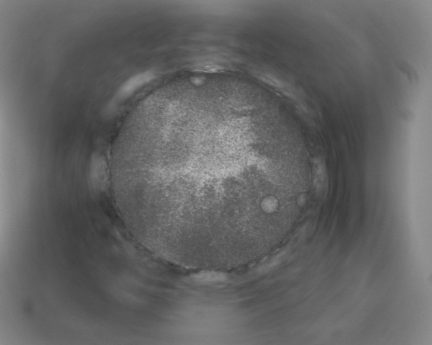 X0000113041446200910081201
