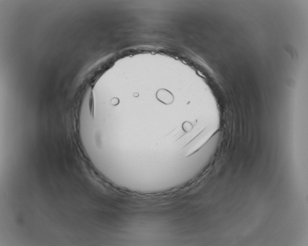 X0000113041448200910081201