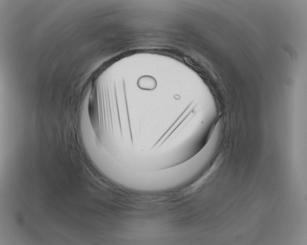 X0000113041449200910081201