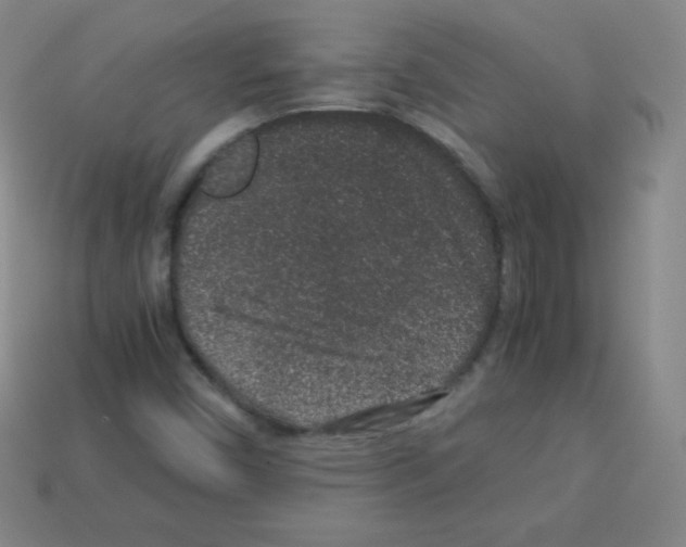 X0000113041450200910081201
