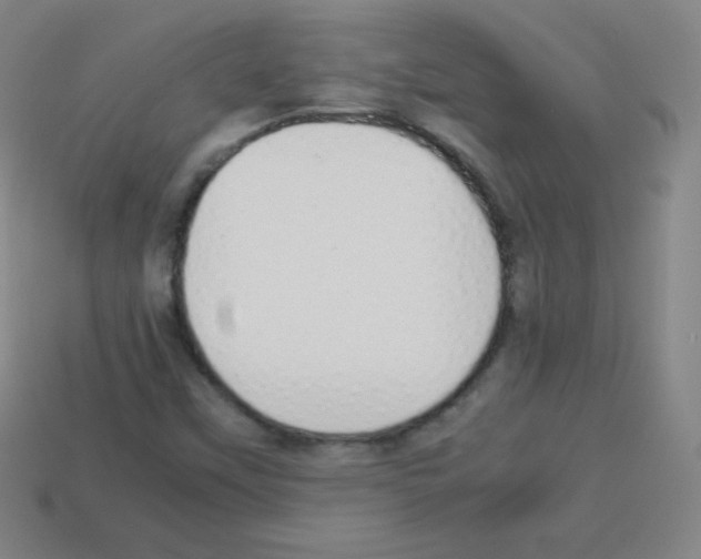 X0000113041451200910081201