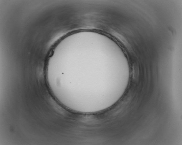 X0000113041452200910081201