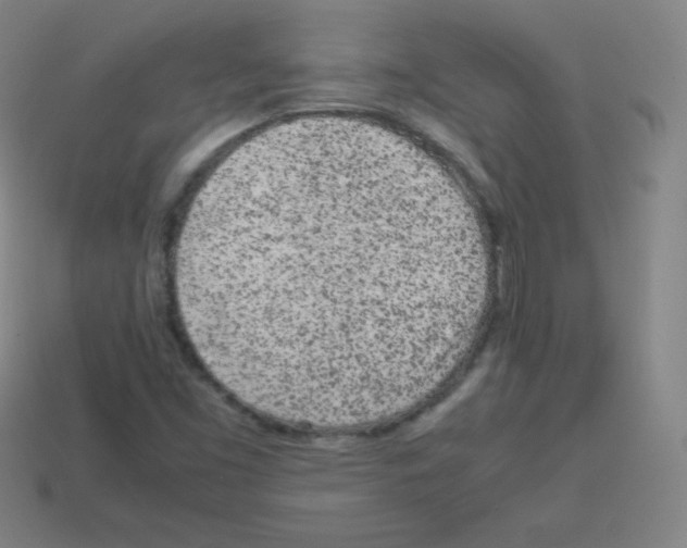 X0000113041453200910081201