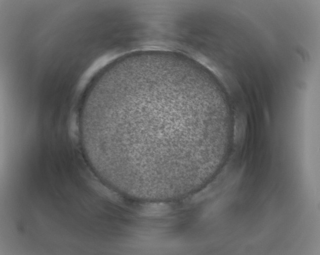 X0000113041454200910081201