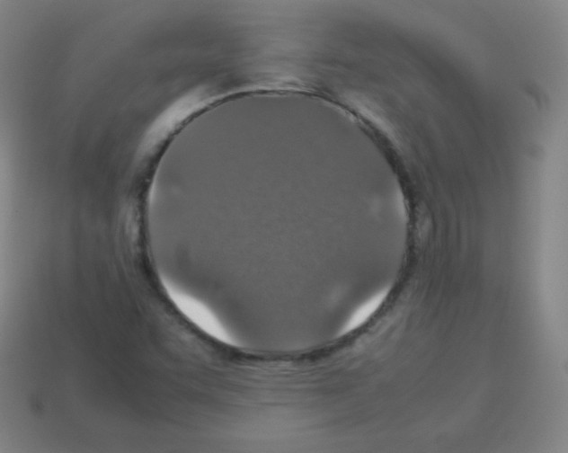 X0000113041455200910081201