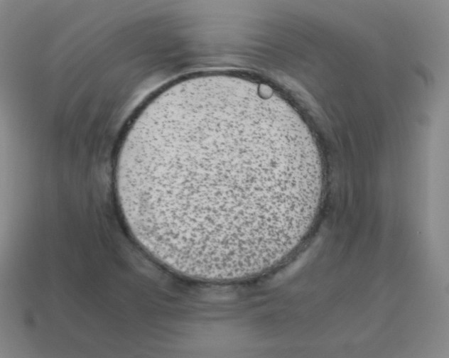 X0000113041457200910081201