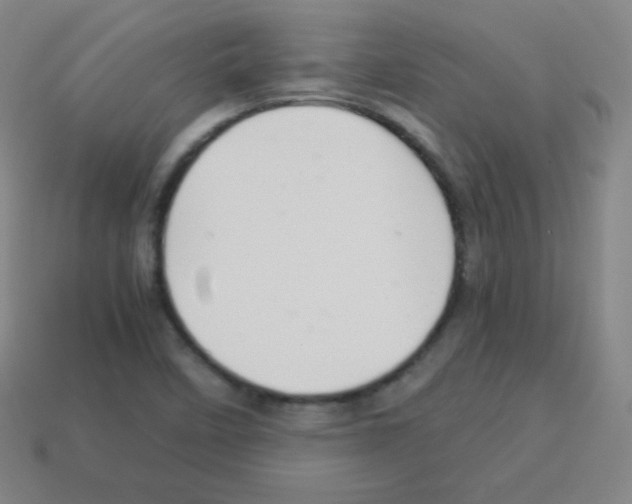X0000113041458200910081201