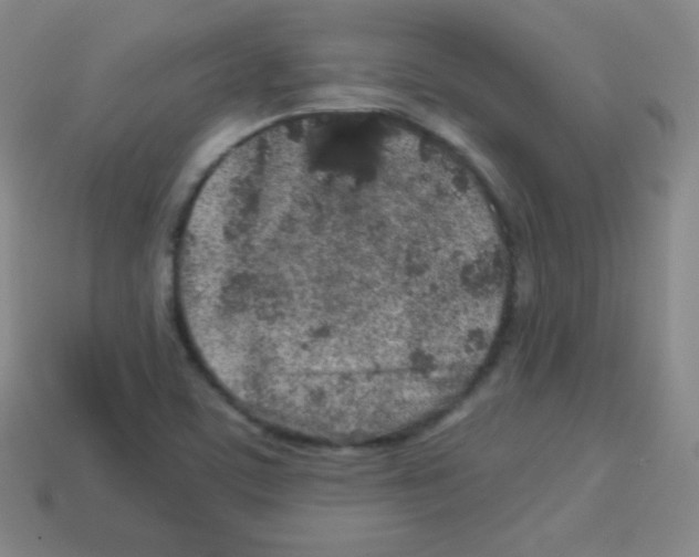 X0000113041459200910081201