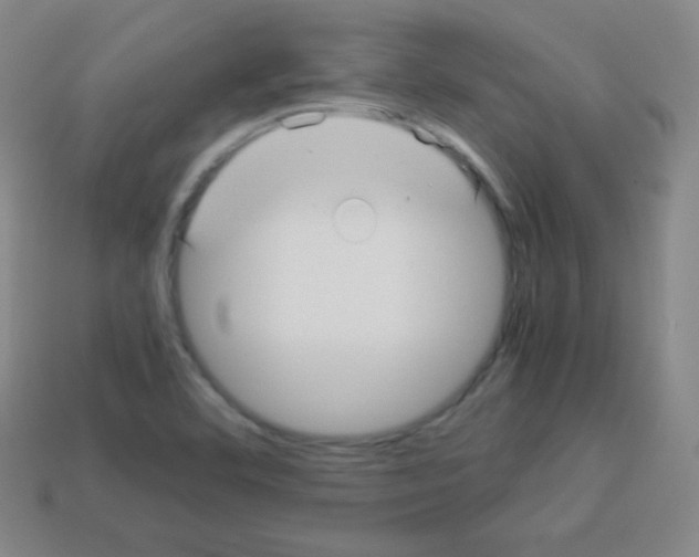 X0000113041460200910081201