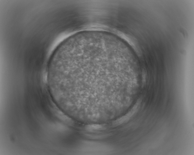 X0000113041462200910081201