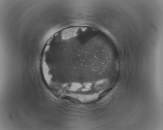 X0000113041463200910081201