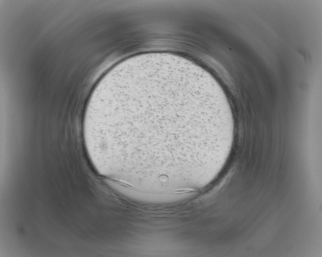X0000113041465200910081201
