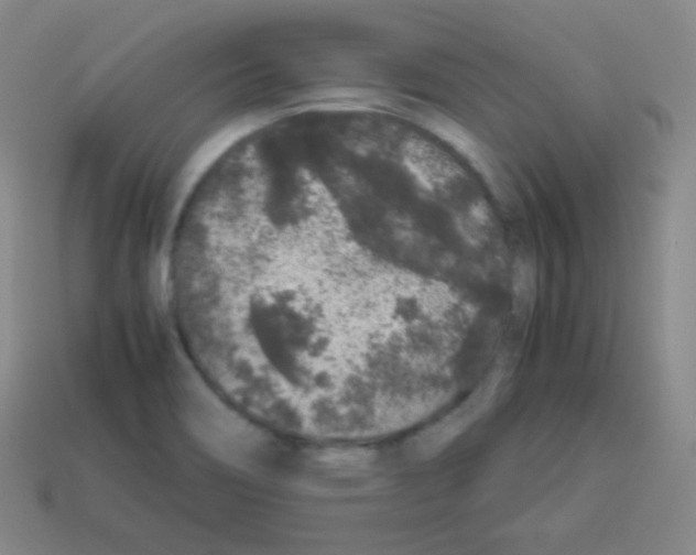 X0000113041466200910081201