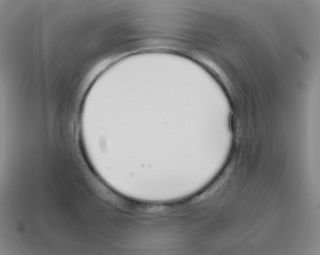 X0000113041467200910081201