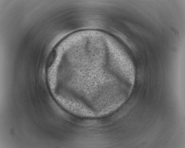 X0000113041468200910081201