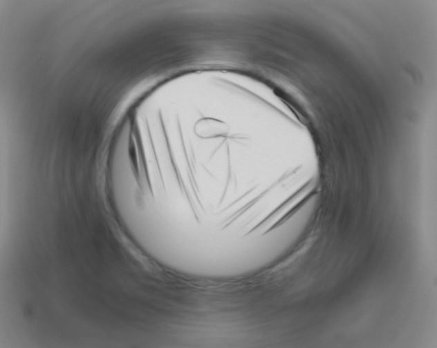 X0000113041469200910081201
