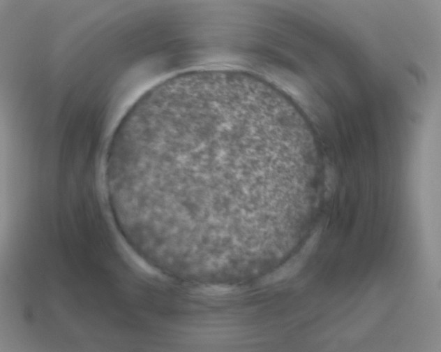 X0000113041470200910081201