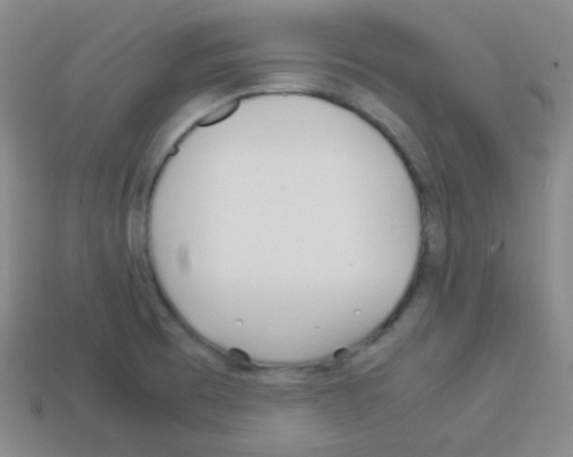X0000113041473200910081201