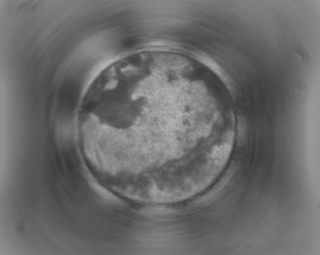 X0000113041474200910081201
