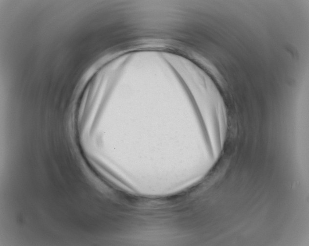 X0000113041475200910081201