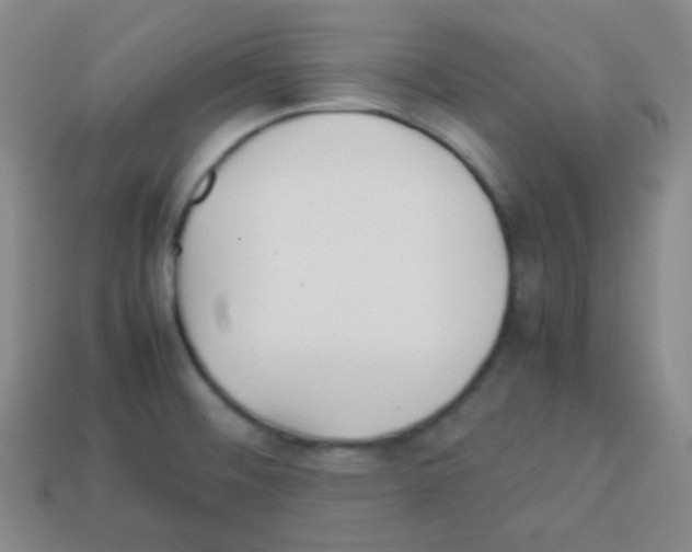 X0000113041476200910081201