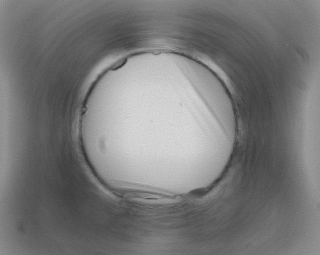 X0000113041477200910081201